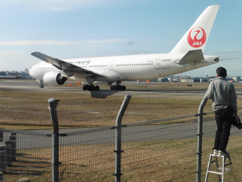 目の前からJAL　B777②