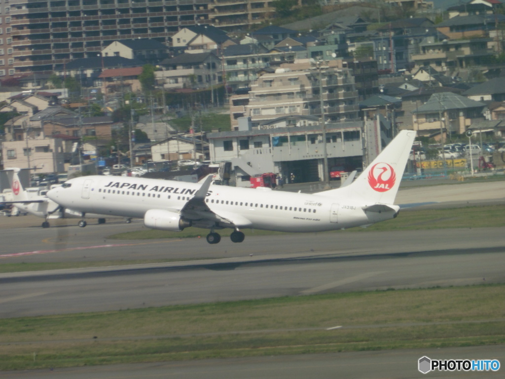 JAL　B737の離陸