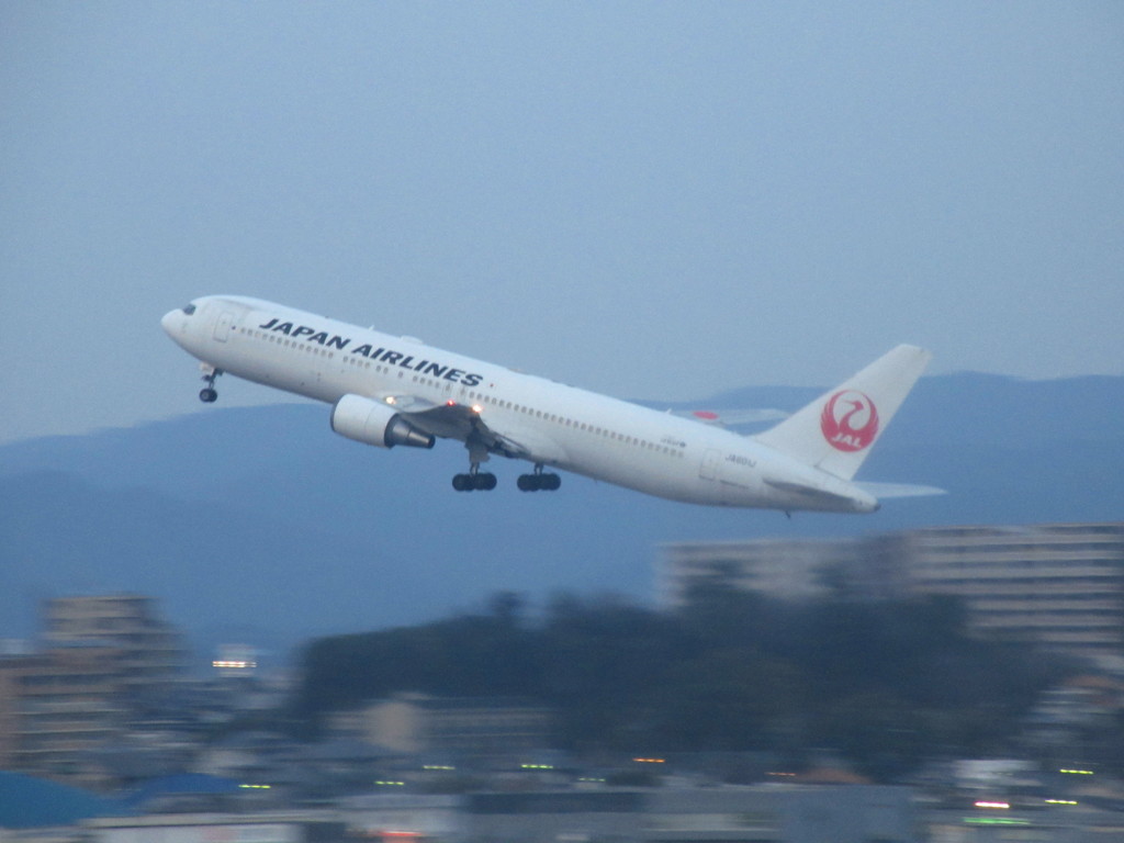 飛ぶ　JAL B767