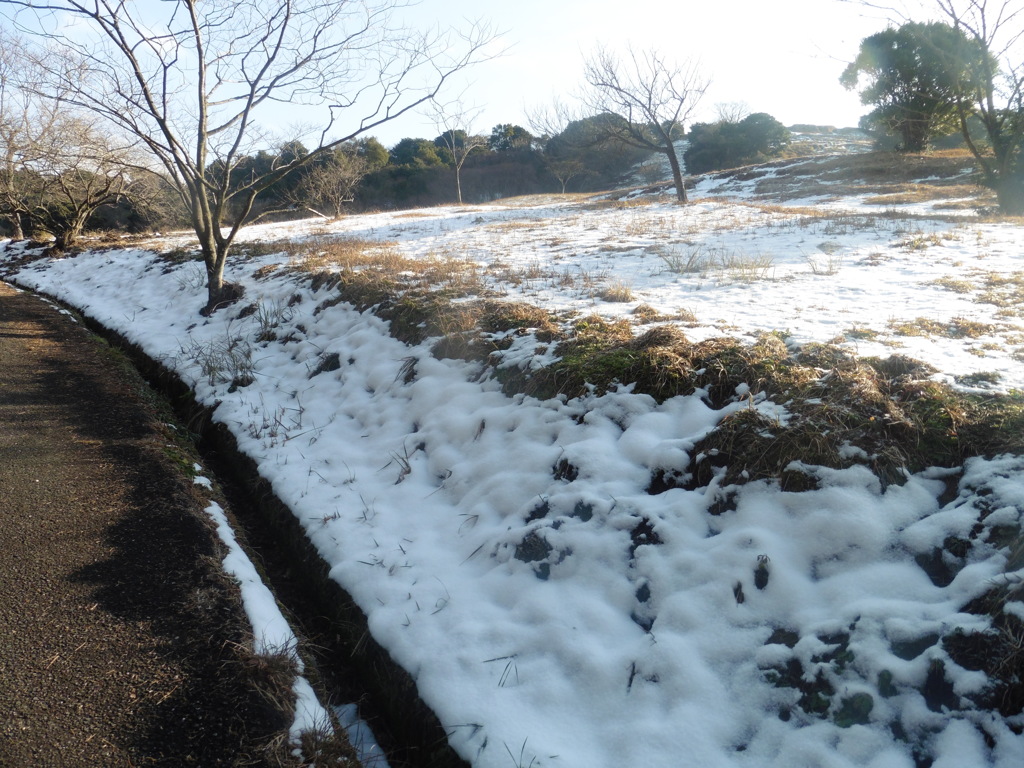 辺り一面の雪景色⑥