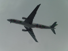 EVA　A330の着陸