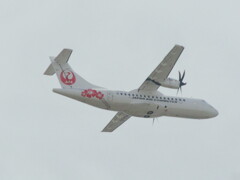 JAL　福岡空港にて　③