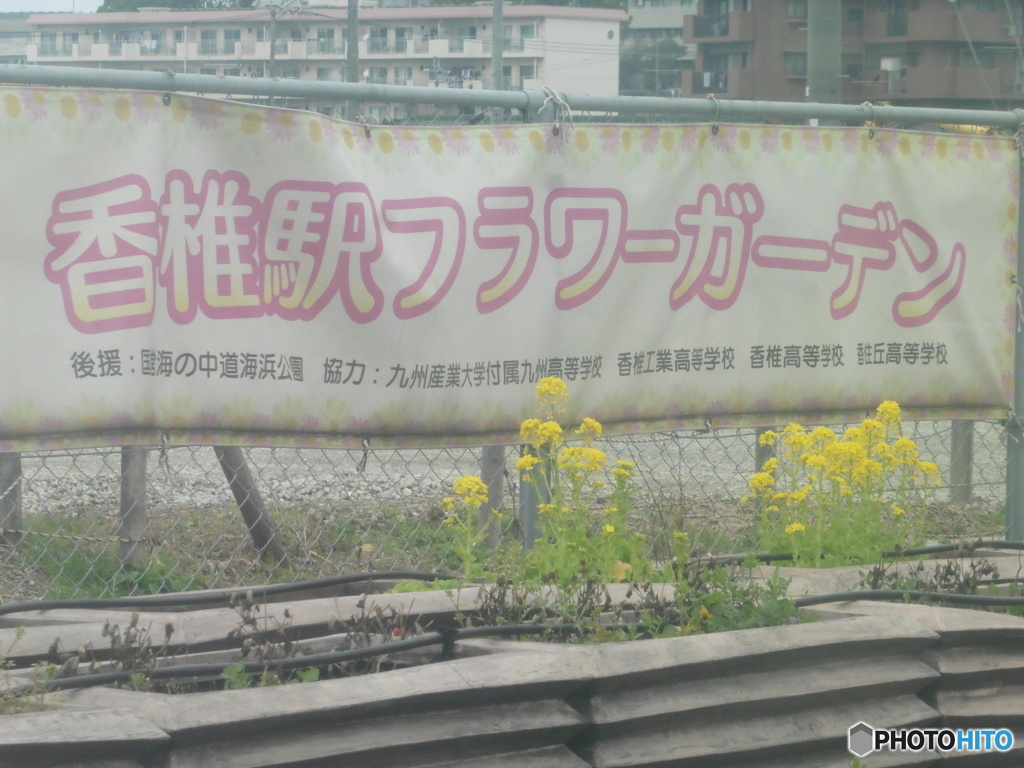 香椎駅フラワーガーデン