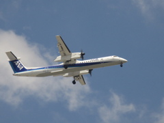 ANA ボンバルディア　JA846A