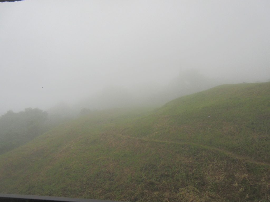 霧に覆われた山中　①