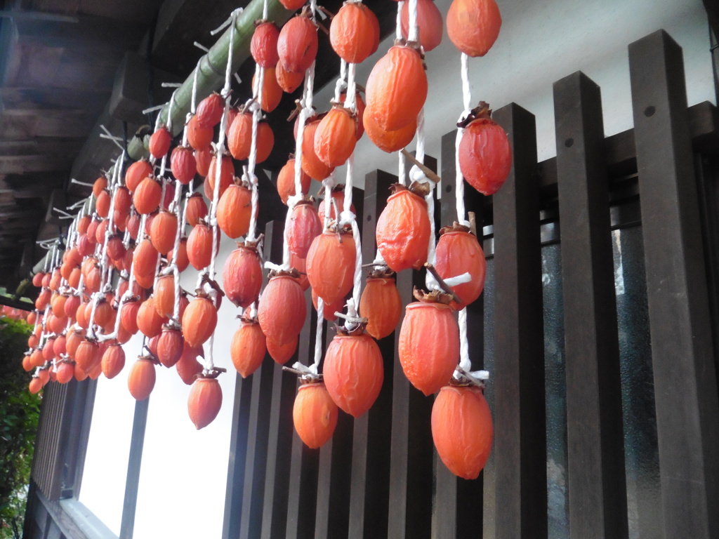民家の干し柿
