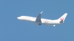 離陸　JAL　B737-800　ダッフィー