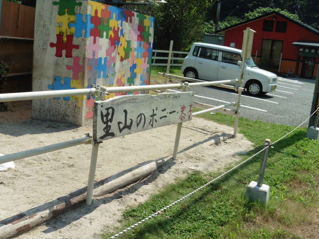 里山のポニー①