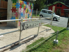 里山のポニー①