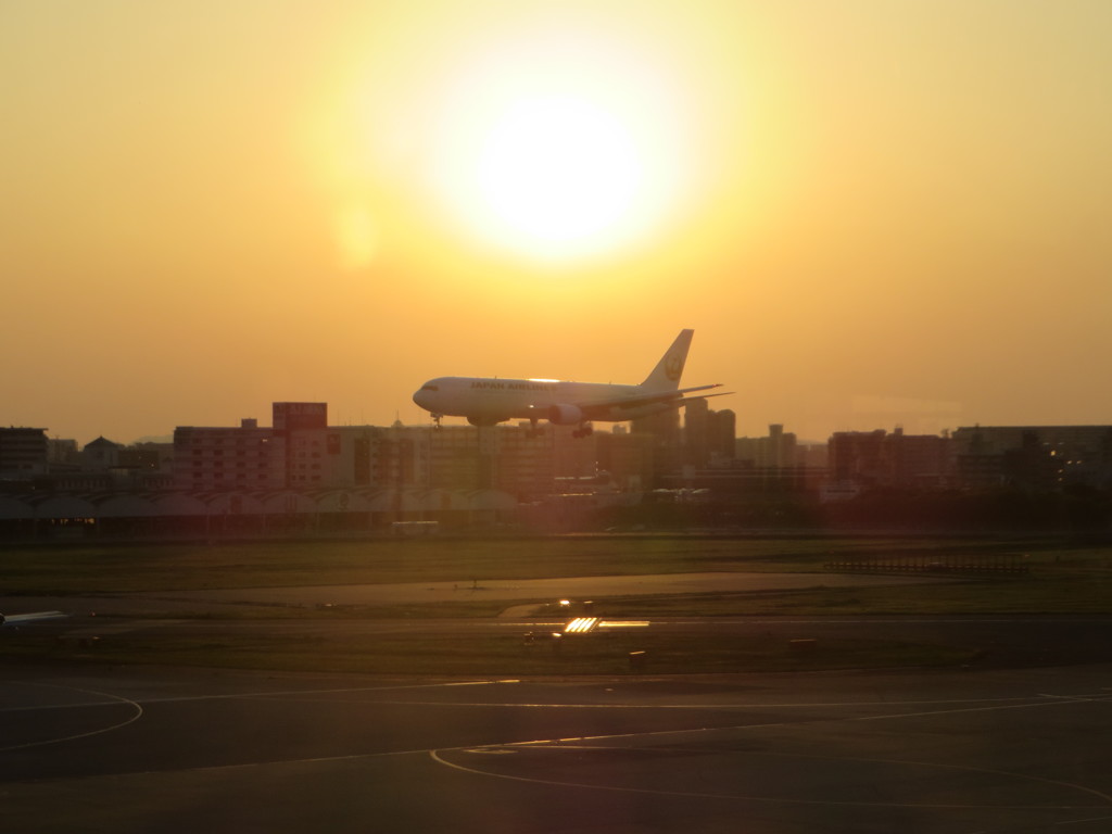 夕日を浴びて到着するJAL767－300②