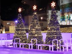 天神警固公園のクリスマスツリー