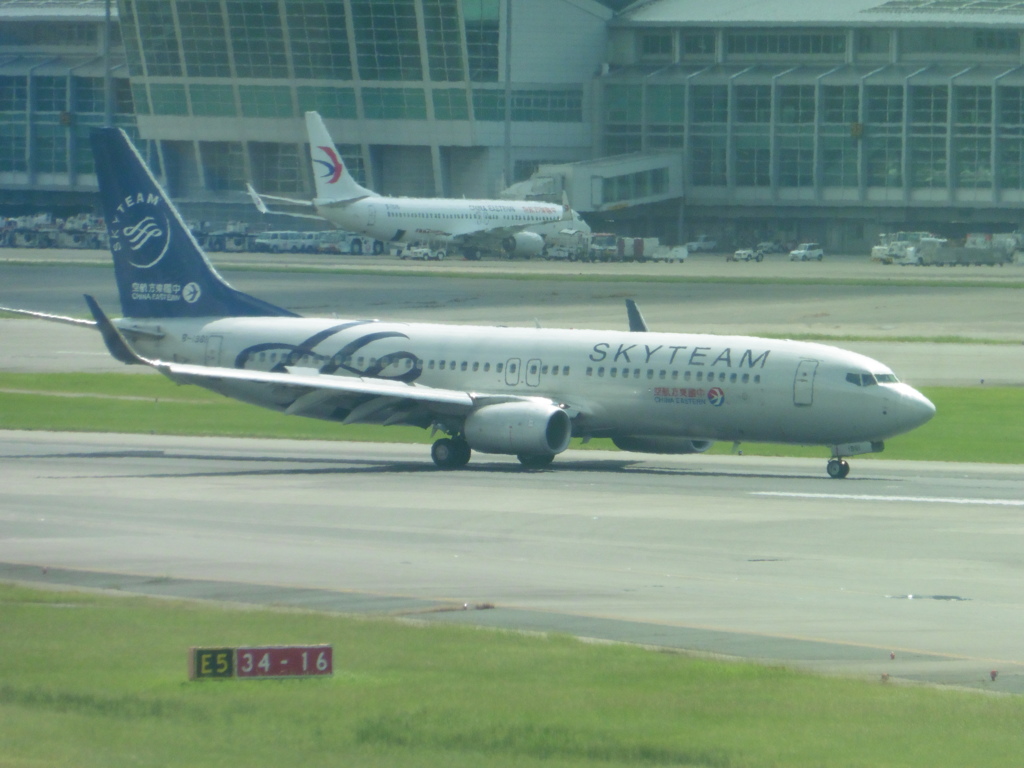 中国東方航空　B737-800　B-1981　SKYTEAM