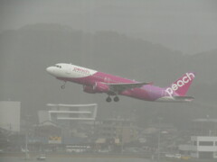 離陸　PEACH  A320