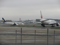 空港北側の丘からの眺め①