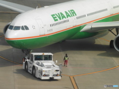EVA  A330-300①