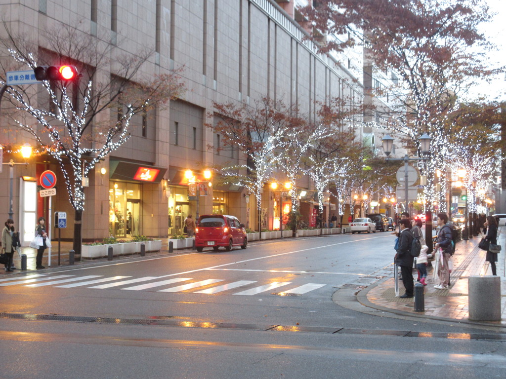中州のクリスマスイルミネーション　①