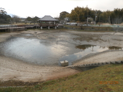 水がひいてしまった池の様子