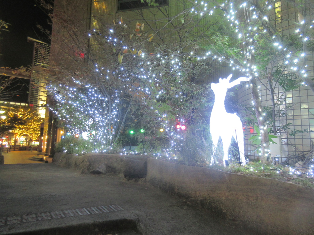 天神のイルミネーション⑤
