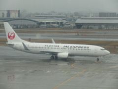 JALの737＋