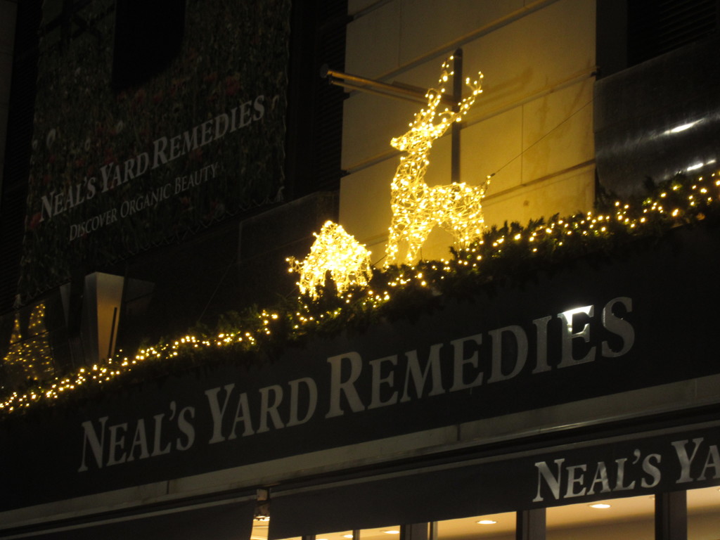 一足早く点灯④