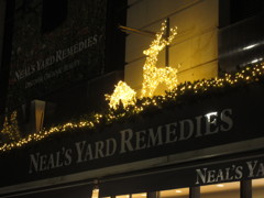 一足早く点灯④