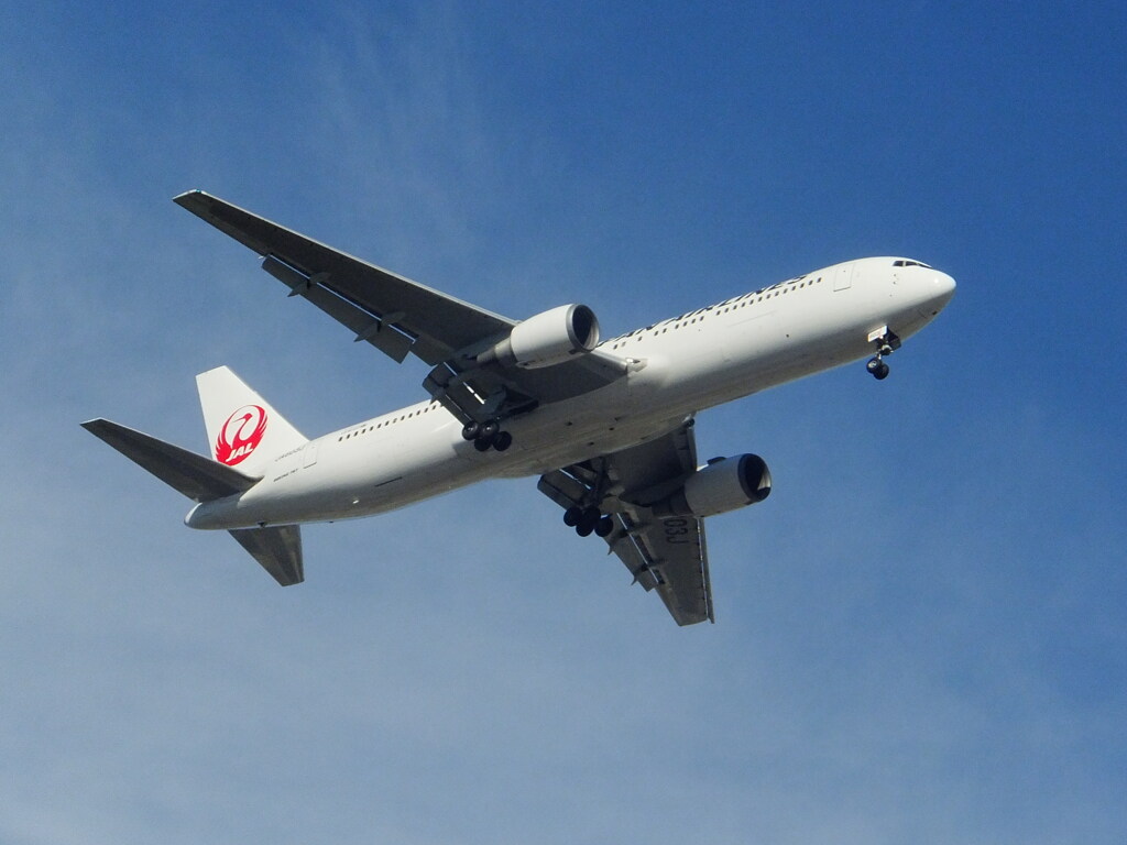 JAL  B767-300ER　②
