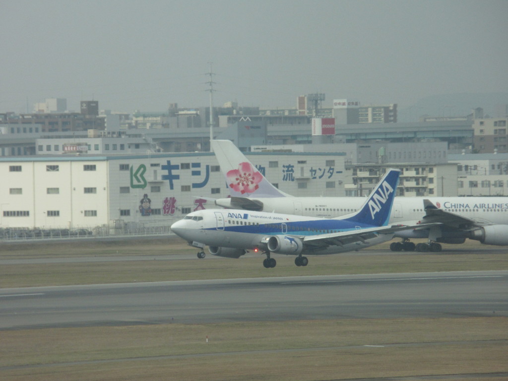 ドルフィンとチャイナエアライン