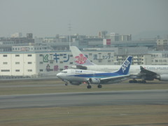 ドルフィンとチャイナエアライン