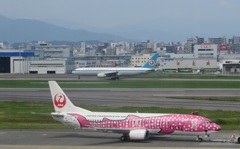 レアものの組み合わせ