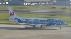 JAL737ジンベエジェット出発