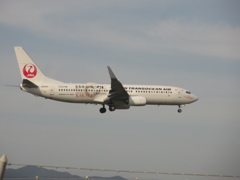 JTA  737-800  OKINAWA KARATE