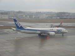 ANA　B787到着