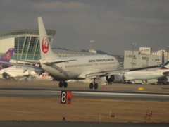 トランスオーシャン　B737着陸②