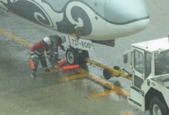 大雨の空港にて④