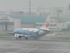 雨の中の滑走⑩