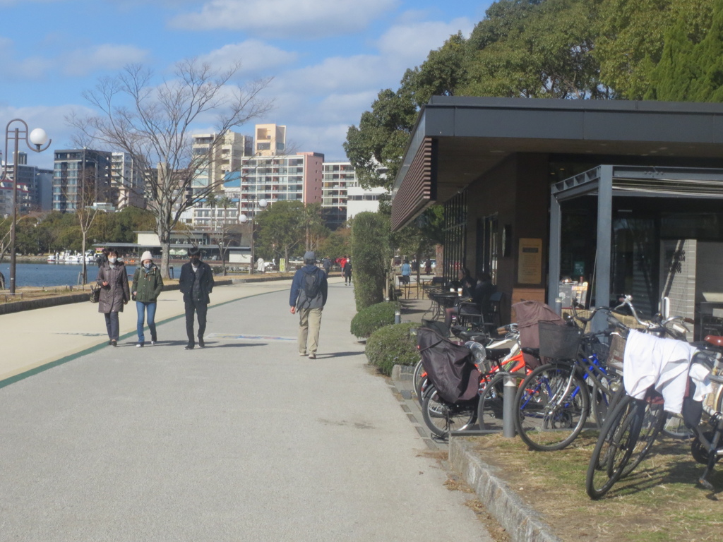 大濠公園と自然　⑧