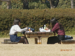 公園でご飯を食べてる女の子たち