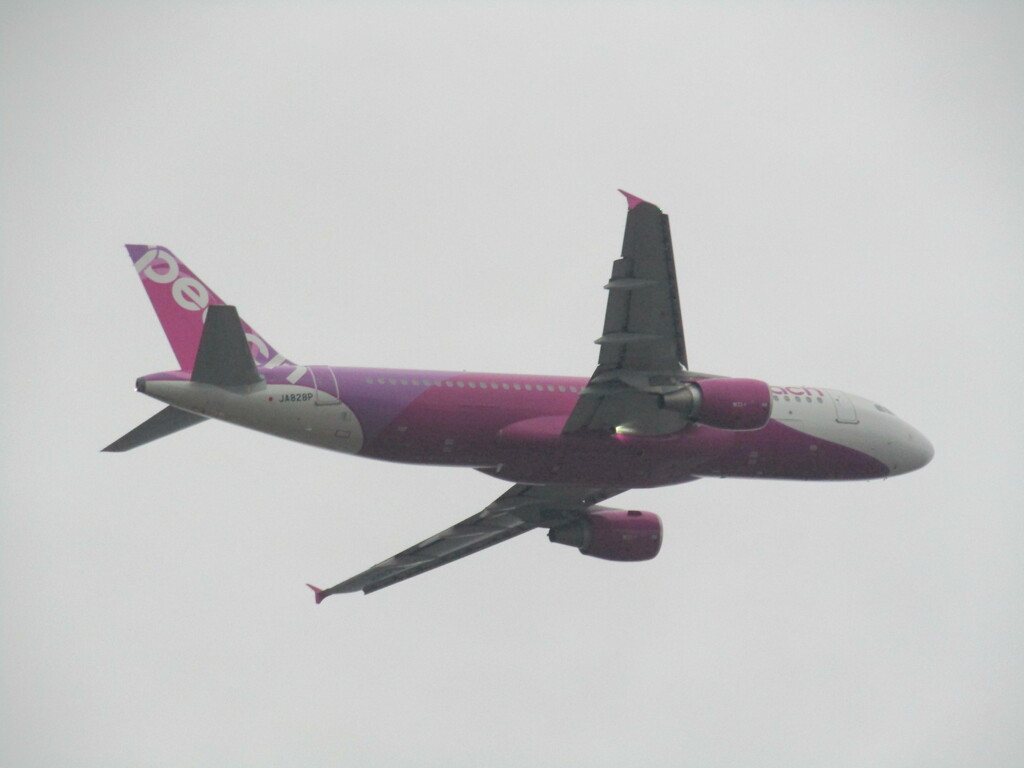 PEACH  A320
