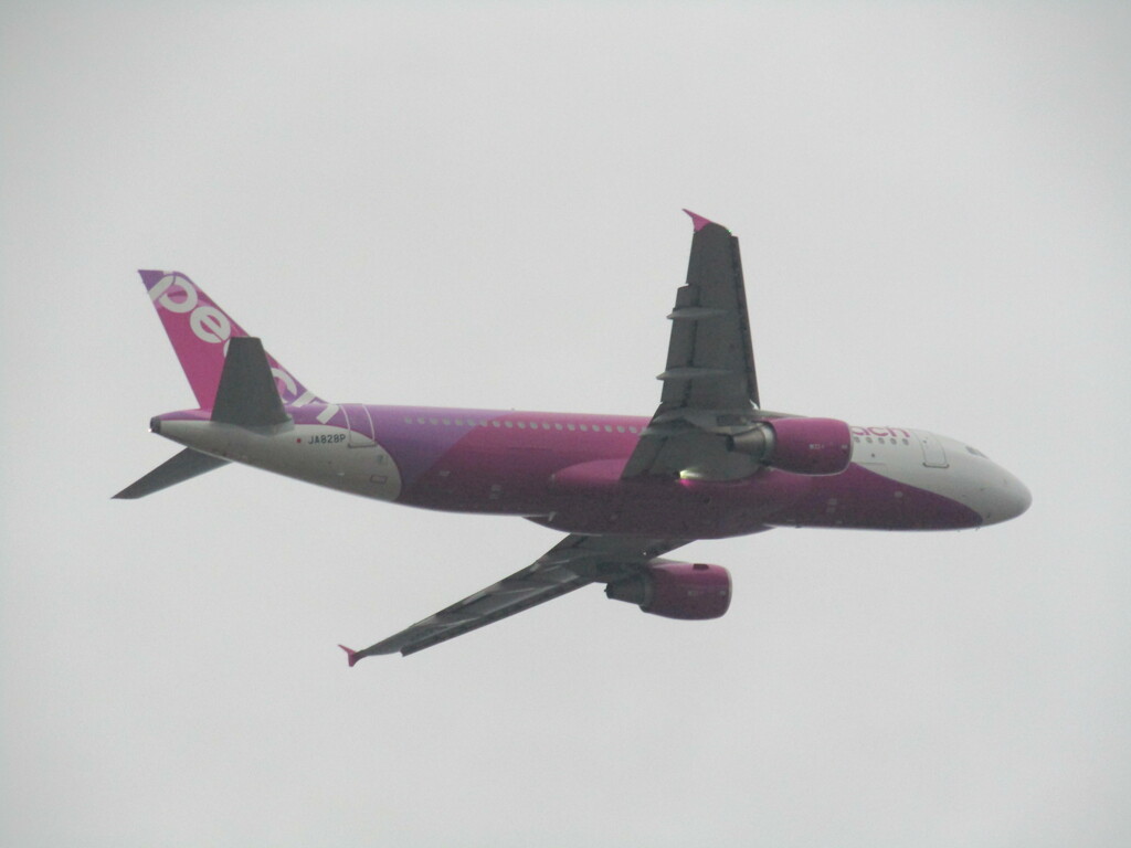 PEACH  A320