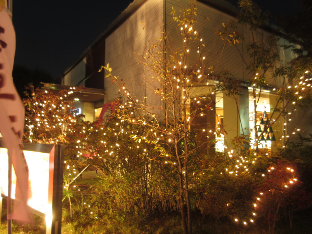 洋菓子屋のクリスマスイルミネーション　②