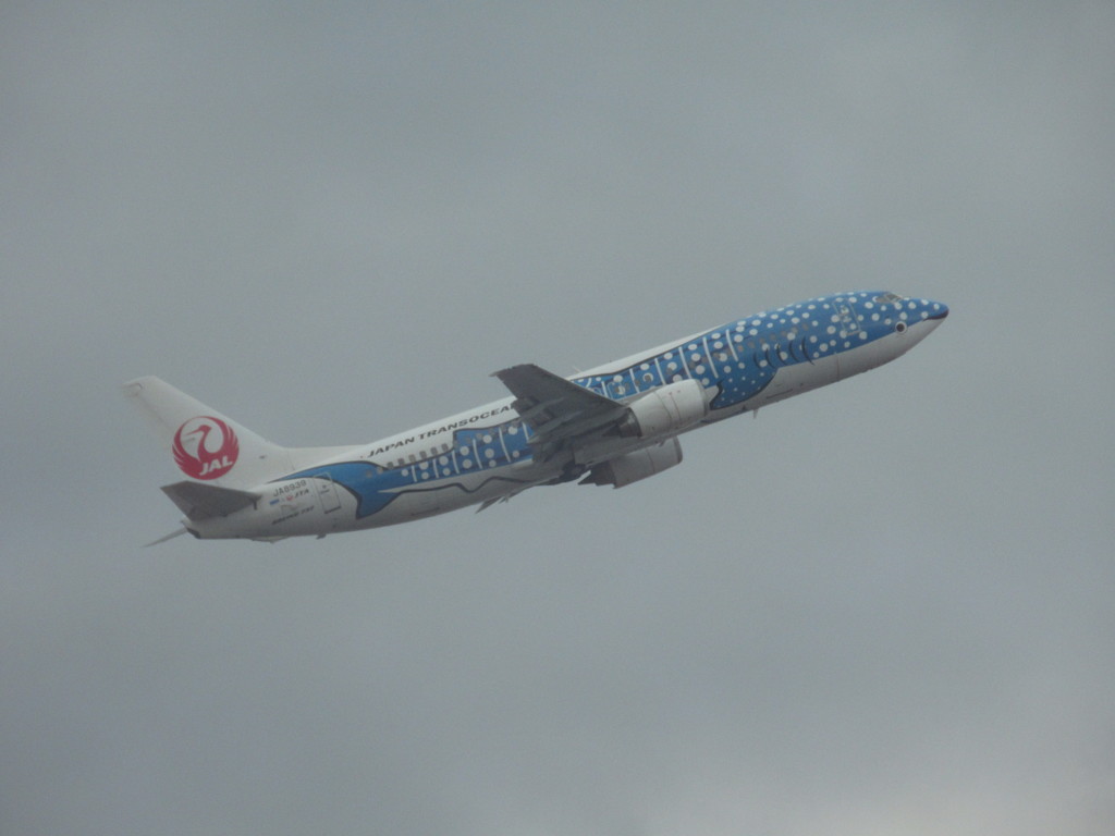 青のジンベエ離陸②