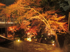 太宰府市竈戸神社の紅葉ライトアップ①