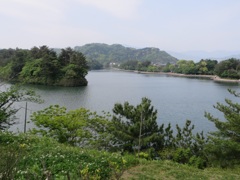池と豊かなの緑の光景②