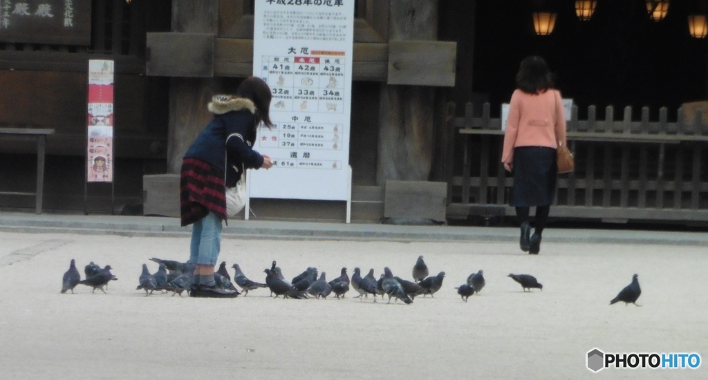 神社で鳩に餌を与える女性