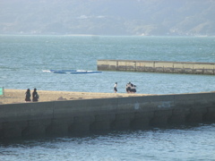 福岡市早良区百道海岸　⑧