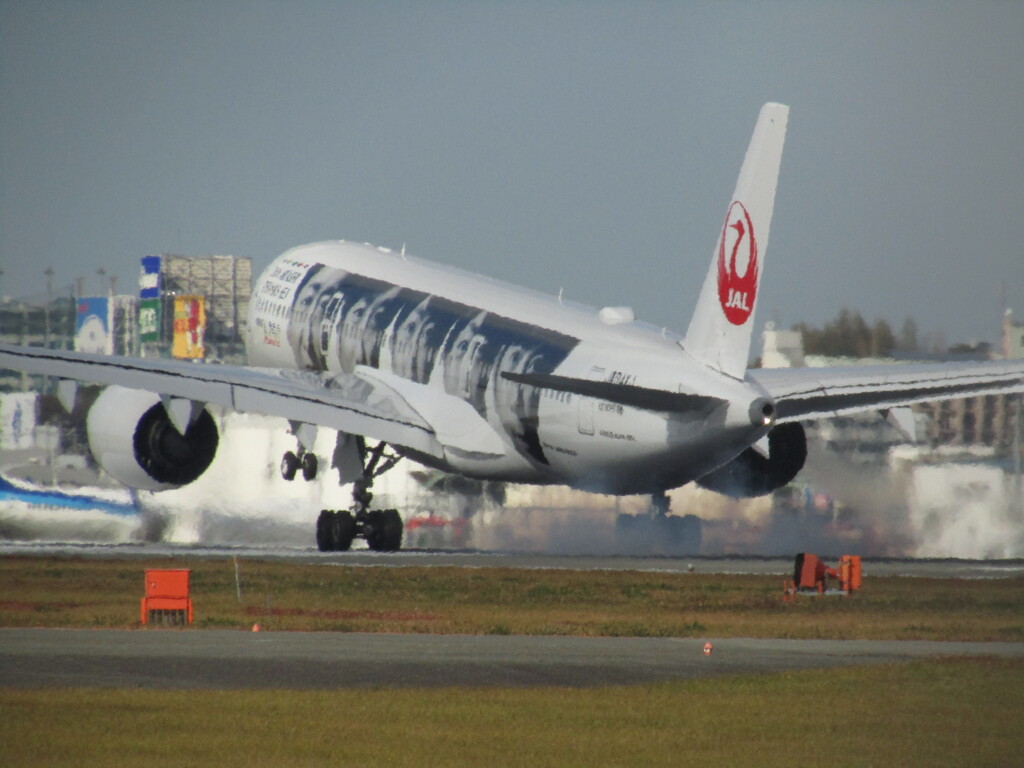 JAL  A350  JA04XJ  福岡空港　②