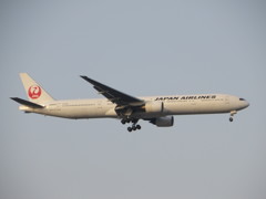 JAL 777-300