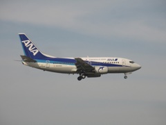 ANA  737-500  ドルフィン