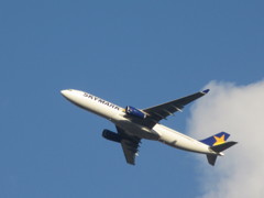 ＳＫＹ　Ａ３３０