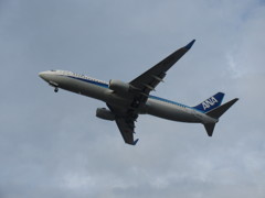 ANA  B737-800　JA67AN